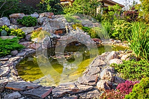 Landscape design of home garden close-up. Beautiful landscaping with small pond and waterfall