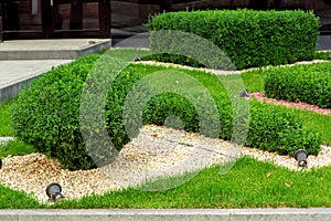 Landscape design with mulching with pebbles and boxwood.