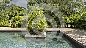 Landscape design in the park. In a decorative pool with turquoise water, a stunted palm tree grows