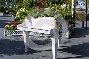 Landscape design of the Park with flowers and piano