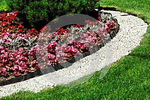 Landscape design with plants strewn with pebbles. photo