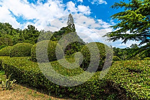 Landscape design in Princes Yusupov Palace in Koreiz, Crimea