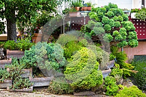 Landscape design with stones, plants and flowers at residential house