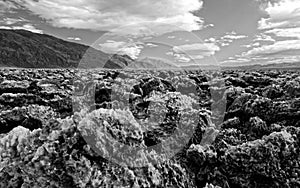 Landscape of Devil's Golf Course, Death Valley National Park, California in black and white