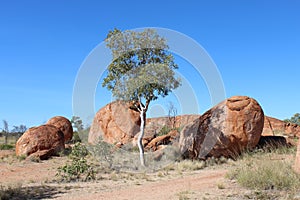 Landscape at the Devils Marbles in Australia