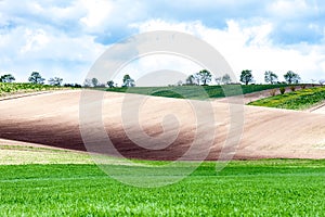 Landscape with different color wavy textured rural fields