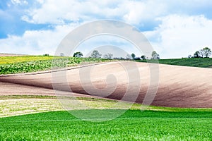 Landscape with different color wavy textured rural fields