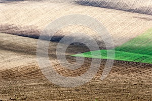 Landscape with different color wavy textured rural fields