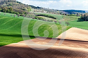 Landscape with different color wavy textured rural fields fall season