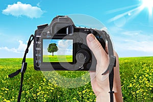 The landscape and digital photographic camera
