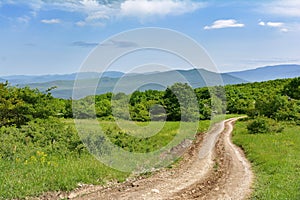 Landscape, dirt road