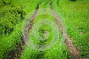 Landscape, dirt road on green grass