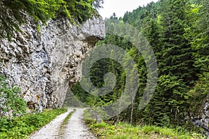 Landscape with a dirt road in the mountain pass with pine trees and high rocks