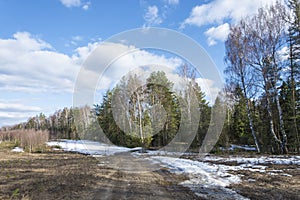 Landscape with a dirt road stretching into the spring forest and a beautiful cloudy sky