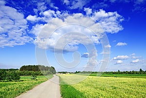 Landscape, dirty road among green fields, blue sky in the backgr