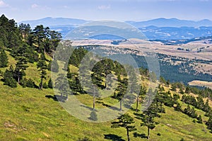 Landscape of Divcibare mountain