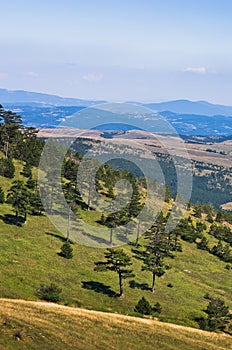 Landscape of Divcibare mountain