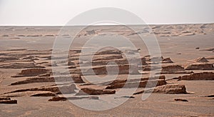 The landscape of dolphin shaped yardangs in Lut desert of Iran