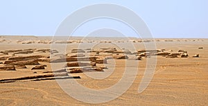 The landscape of dolphin shaped yardangs in Lut desert of Iran