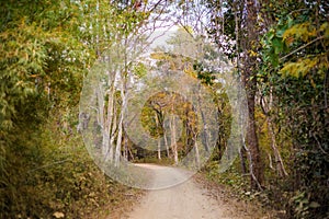 Landscape of Don Khone Laos