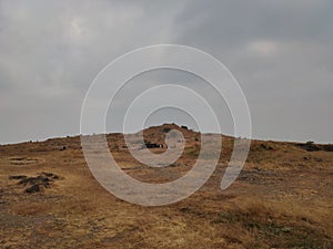 landscape of dried grassland on a mountain area