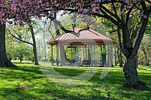 Landscape of Druid Park in Baltimore, Maryland