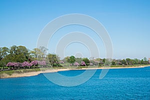 Landscape of Druid Park in Baltimore, Maryland