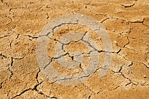 Landscape - dry earth with mudcracks