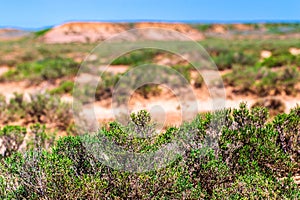 Dry cracked takir soil in semi-desert in Russia. Nature landscape