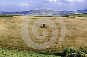 Landscape of dry fields in the countryside in Tuscany, Italy