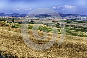 Landscape of dry fields in the countryside in Tuscany, Italy