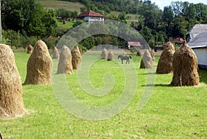 Landscape with dry haycock photo