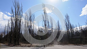 Landscape with dry trees and blue sky with white clouds in winter. Clouds of dust on Pripyat street. Trees on the street of an