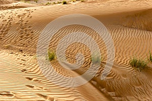 Landscape of Dubai Desert