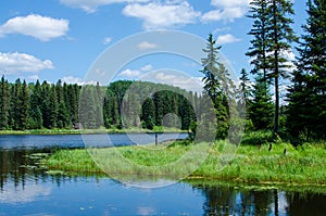 Landscape in duck mountain park