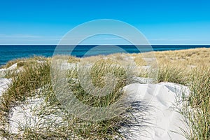 Landscape with dune on the Baltic Sea coast in Germany