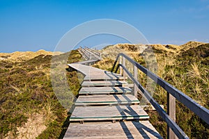 Landscape in the dunes in Norddorf on the North Sea island Amrum, Germany