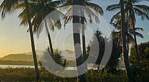 landscape at dusk with yellowish sunlight on the beach lined with coconut trees and silhouettes of mountains