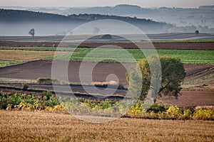 Landscape at an early hour of the day