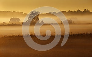 Landscape at an early hour of the day