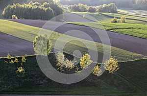 Landscape at an early hour of the day