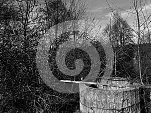 landscape in early in spring - an old abandoned well on the river bank