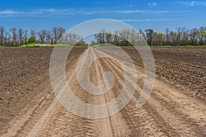 Landscape with an earth road between wheat and flowering agricultural fields in central Ukraine