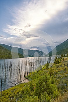 Landscape of Earthquake Lake, Montana. photo