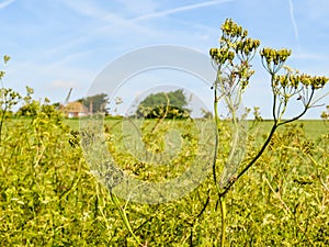 Landscape of East Sussex, England