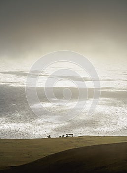 Landscape of Easter Island, Chile