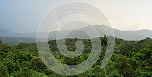 Landscape of ecuadorian cloudforest photo