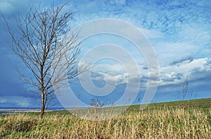 Landscape at edge agriculture field in spring