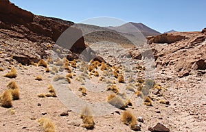 Landscape of Eduardo Avaroa Andean Fauna Reserve