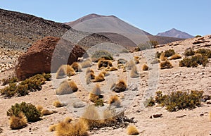 Landscape of Eduardo Avaroa Andean Fauna Reserve